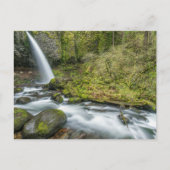 Columbia River Gorge, Ponytail Herfsten Briefkaart (Voorkant)