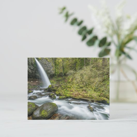Columbia River Gorge, Ponytail Herfsten Briefkaart (Staand voorkant)