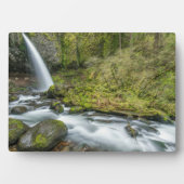 Columbia River Gorge, Ponytail Herfsten Fotoplaat (voorkant)