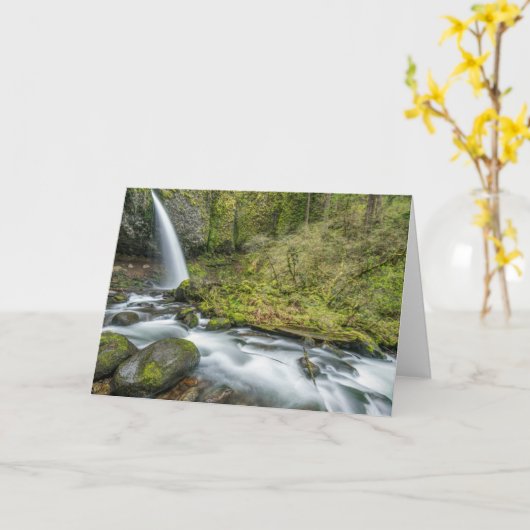 Columbia River Gorge, Ponytail Herfsten Kaart (Gele Bloem)