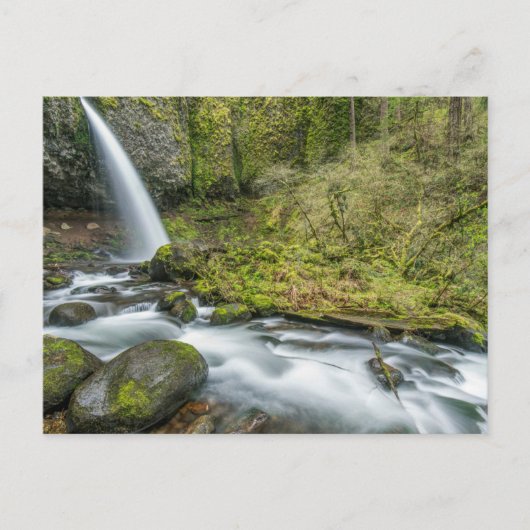 Columbia River Gorge, Ponytail-waterval Briefkaart (Voorkant)