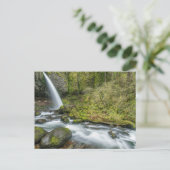 Columbia River Gorge, Ponytail-waterval Briefkaart (Staand voorkant)