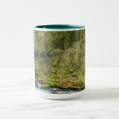 Columbia River Gorge, Ponytail-waterval Mok (Midden)