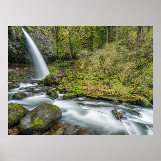 Columbia River Gorge, Ponytail-waterval Poster (Voorkant)