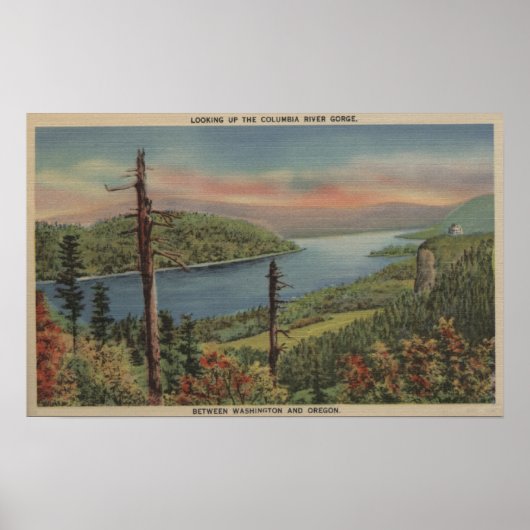 Columbia River Gorge Poster (Voorkant)