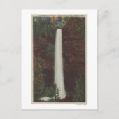 Columbia River, OR - Latourelle Herfst Uitzicht #1 Briefkaart (Voorkant)
