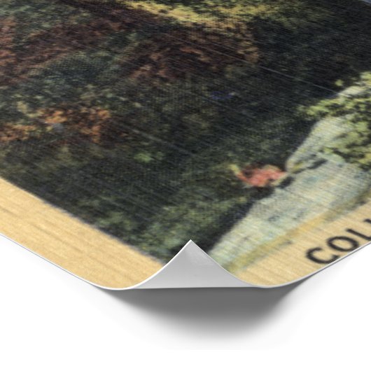 Columbia River, OR - Multnomah Herfsten en Benson Poster (Hoek)