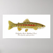 Columbia River Redband Trout Art Poster (Voorkant)