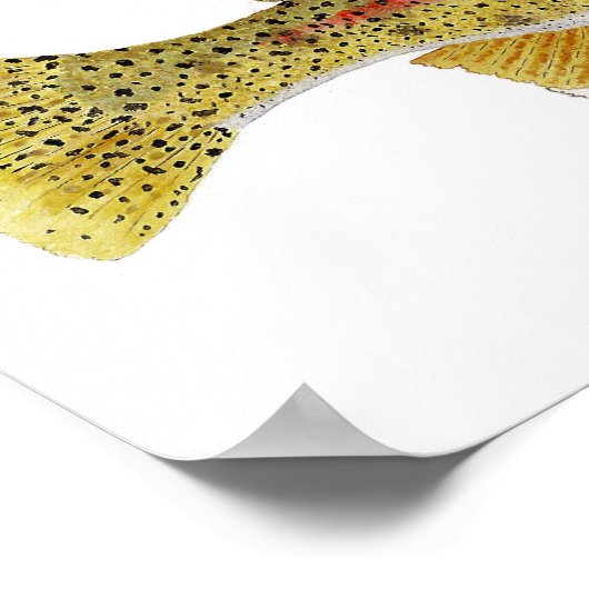 Columbia River Redband Trout Art Print (Hoek)