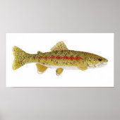 Columbia River Redband Trout Art Print (Voorkant)