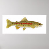 Columbia River Redband Trout Poster (Voorkant)