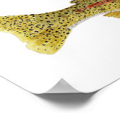 Columbia River Redband Trout Poster (Hoek)