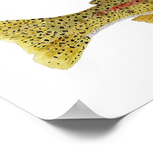 Columbia River Redband Trout Poster (Hoek)