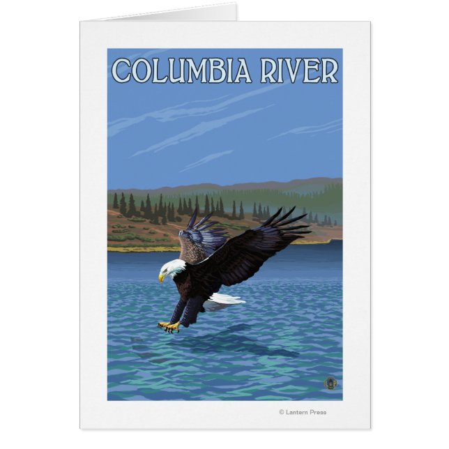 Columbia River, Washington Eagle Diving (Voorkant)