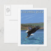 Columbia River, Washington Eagle Diving Briefkaart (Voorkant / Achterkant)