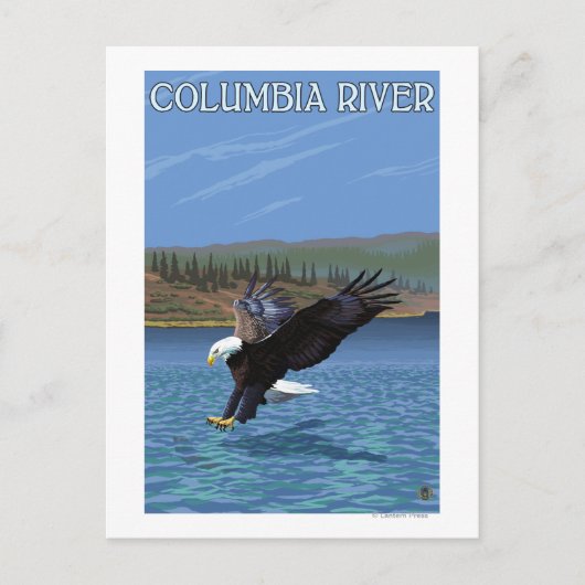 Columbia River, Washington Eagle Diving Briefkaart (Voorkant)