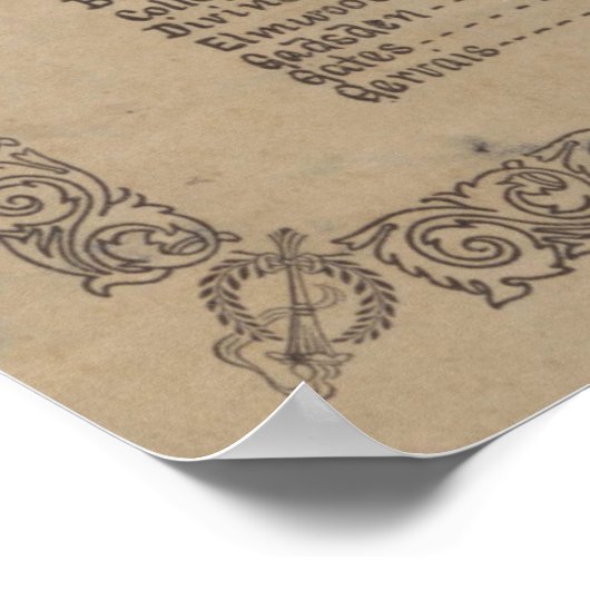  Columbia SC Map (1901) Poster (Hoek)