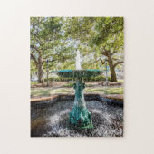 Columbia Square Savannah Puzzle Legpuzzel (Verticaal)