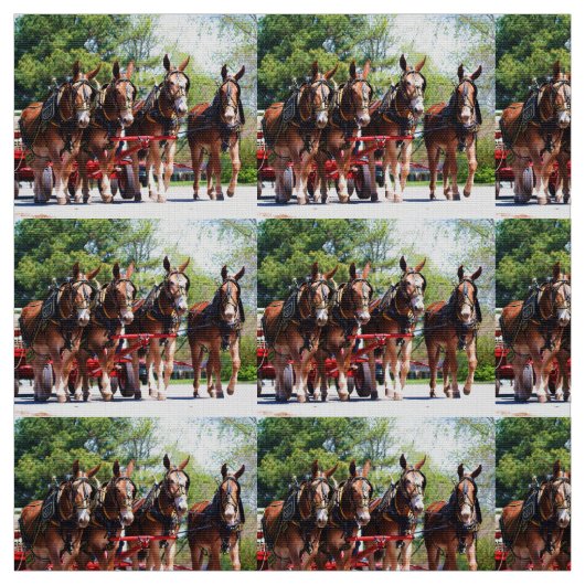 Columbia Tenn Mule Days Stof (Swatch)