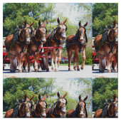 Columbia Tenn Mule Days Stof (Close Up)