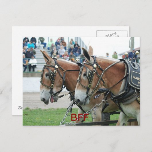 columbia tn briefkaart (Voorkant / Achterkant)