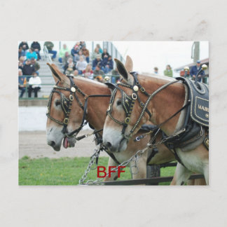 columbia tn briefkaart