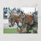 columbia tn briefkaart (Voorkant)