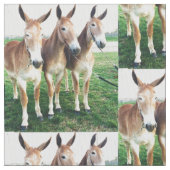 Columbia, TN Mule Dagen Stof (Close Up)