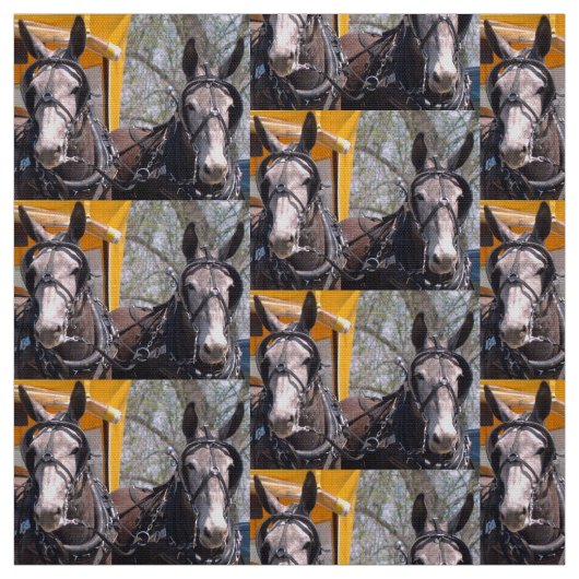 Columbia, TN Mule Dagen Stof (Swatch)