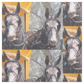 Columbia, TN Mule Dagen Stof (Close Up)