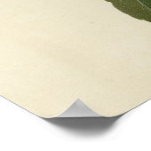 Columbiaanse Hummingvogel Poster (Hoek)