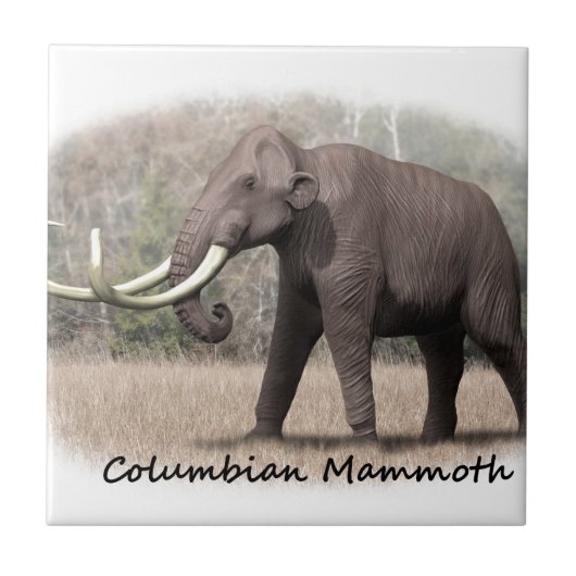 Columbiaanse Mammoth Tegeltje (Voorkant)