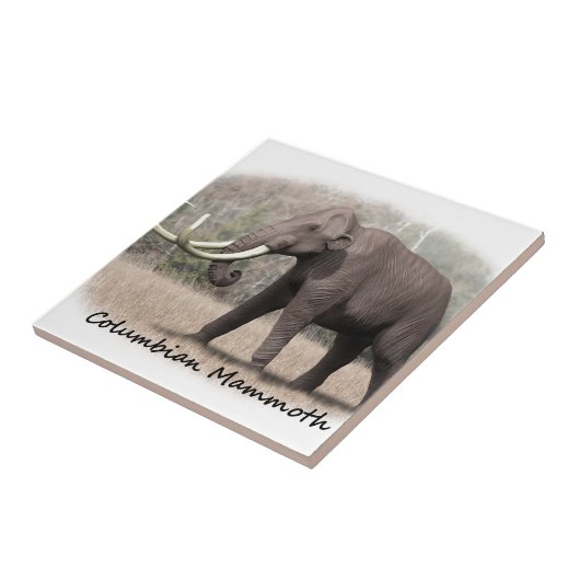 Columbiaanse Mammoth Tegeltje (Zijkant)