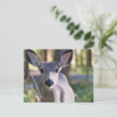 Columbiaanse zwarte onbeige onbedekte onbedekte on briefkaart (Staand voorkant)