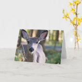 Columbiaanse zwarte onbeige onbedekte onbedekte on kaart (Gele Bloem)