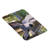 Columbiaanse zwarte onbeige onbedekte onbedekte on magneet (Rechterzijde)