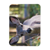 Columbiaanse zwarte onbeige onbedekte onbedekte on magneet (Verticaal)