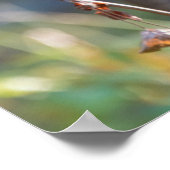 Columbiaanse zwarte onbeige onbedekte onbedekte on poster (Hoek)