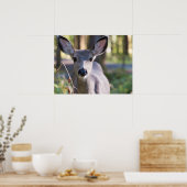 Columbiaanse zwarte onbeige onbedekte onbedekte on poster (Keuken)