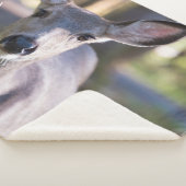 Columbiaanse zwarte onbeige onbedekte onbedekte on sherpa deken (3/4)