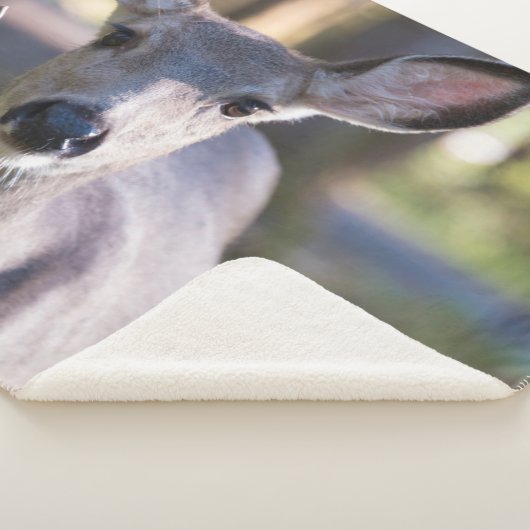 Columbiaanse zwarte onbeige onbedekte onbedekte on sherpa deken (3/4)