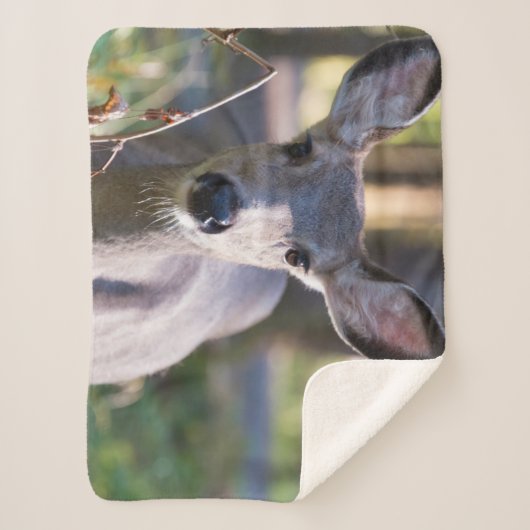 Columbiaanse zwarte onbeige onbedekte onbedekte on sherpa deken (Voorkant)