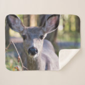 Columbiaanse zwarte onbeige onbedekte onbedekte on sherpa deken (Voorkant (horizontaal))