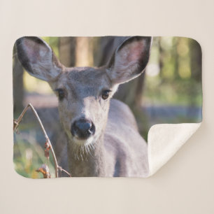 Columbiaanse zwarte onbeige onbedekte onbedekte on sherpa deken