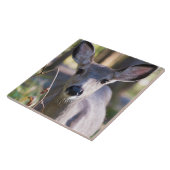 Columbiaanse zwarte onbeige onbedekte onbedekte on tegeltje (Zijkant)