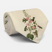 Columbian (Anna's) Humming Bird - Audubon's Birds Stropdas (Opgerold)