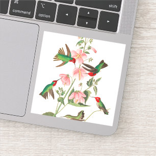 Columbian Humming door John James Audubon Sticker