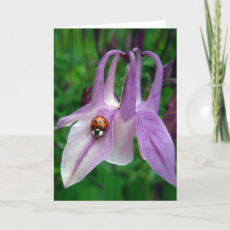 Columbine 2-Kaart Kaart