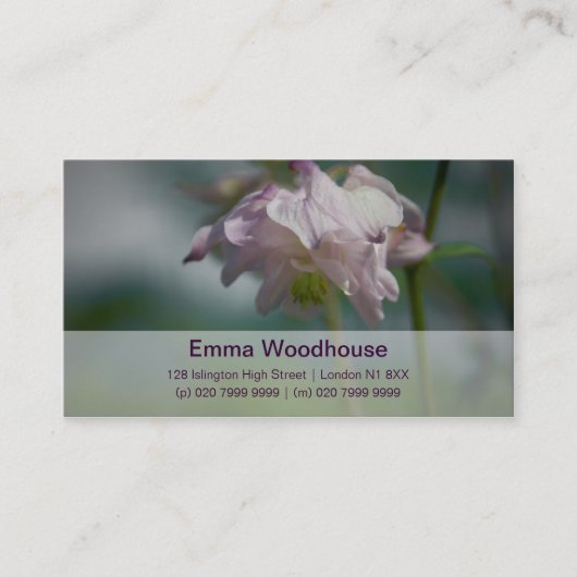 Columbine | Akelei Visitekaartje (Voorkant)