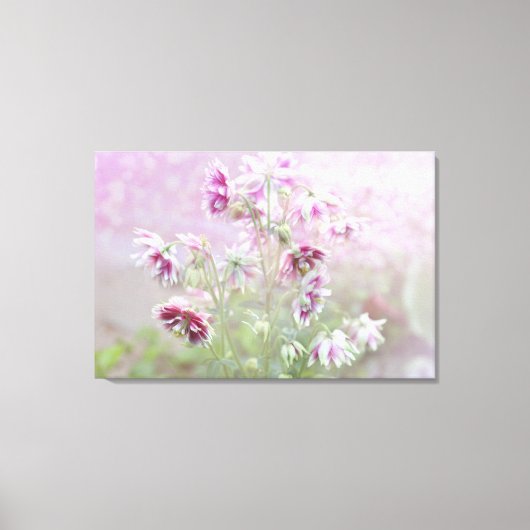 Columbine Beauty Canvas Afdruk (Voorkant)